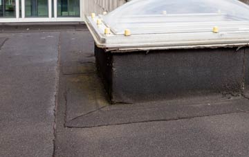 disadvantages of Dalfaber flat roofs
