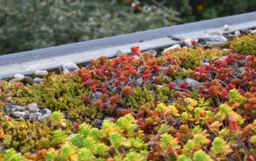 the cost of Dalfaber green roof installation